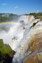 Iguazu Falls Royalty Free Stock Photo