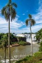 Iguazu Falls, the largest series of waterfalls of the world, located at the Brazilian and Argentinian border Royalty Free Stock Photo