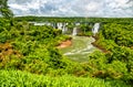 Iguazu Falls, the largest waterfall in the world, South America Royalty Free Stock Photo