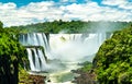 Iguazu Falls in a tropical rainforest in Argentina Royalty Free Stock Photo