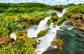 Iguazu Falls in a tropical rainforest in Argentina Royalty Free Stock Photo