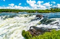 Iguazu Falls in a tropical rainforest in Argentina Royalty Free Stock Photo