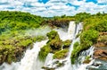 Iguazu Falls in a tropical rainforest in Argentina Royalty Free Stock Photo