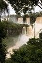Iguazu falls veiw from argentina through the trees