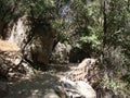 Ihlar Canyon. Cappadocia. Turkey. Landscapes of untouched nature near a rapid river in the depths of the canyon.