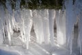 Iicicles next to each other below a cattle trough with backlight over snow