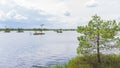 Iislands with trees in the swamps lake. Ecological and reserve concepts Royalty Free Stock Photo