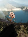 Ijen mountain view Royalty Free Stock Photo