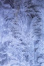 IJskristallen, Ice crystals Royalty Free Stock Photo