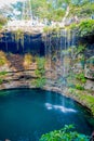 Ik-Kil Cenote near Chichen Itza, Mexico. Lovely cenote with transparent waters and hanging roots Royalty Free Stock Photo