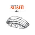 Ika sushi. Japanese Royalty Free Stock Photo