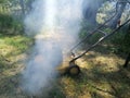 Smoky and polluting lawn mower.