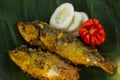 Ikan Bandeng Presto 13 - soft boned fish Royalty Free Stock Photo