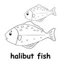 Kids line illustration coloring halibut fish. animal outline