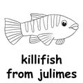 Kids line illustration coloring killifish from julimes. animal are just lines