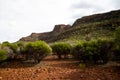 Ikara-Flinders Ranges National Park