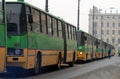Ikarus buses parade