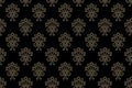 Ikat floral paisley embroidery on black background.geometric ethnic oriental pattern traditional.Aztec style abstract vector Royalty Free Stock Photo