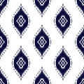 Ikat pattern ethnic tribal textile American African fabric Aztec motif mandalas native boho bohemian carpet india Asia illustrated