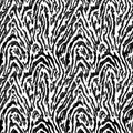 Ikat texture zebra skin seamless in black on white background Royalty Free Stock Photo