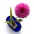 Ikebana Royalty Free Stock Photo