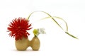 Ikebana Royalty Free Stock Photo