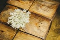 Ikebana. A bouquet of white wildflowers in a pile of wooden bars. still life of flowers and wood. close-up. top view