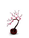 Ikebana. Composition. Figure Sakura flower. Isolated on white background with shadow.