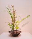 Ikebana. Flower arrangement Royalty Free Stock Photo