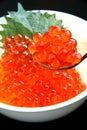 salmon caviar, Ikura Royalty Free Stock Photo