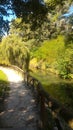 Il fiume vicino al parco Royalty Free Stock Photo