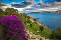 Il-Mellieha, Malta - Beautiful flowers and a sunset scene with Mellieha town, palm trees and colorful sky