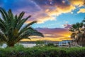 Il-Mellieha, Malta - Beautiful sunset scene at Mellieha beach with palm trees Royalty Free Stock Photo