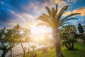 Il-Mellieha, Malta - Beautiful sunset scene at Mellieha town with palm trees