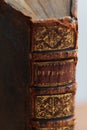 Il Petrarca, old leather book spine. closeup spine detail