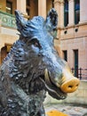 Il Porcellino Wild Boar Statue Sydney Hospital Australia