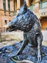 Il Porcellino Wild Boar Statue Sydney Hospital Australia