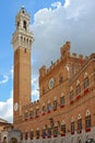 Il pubblic palace in the piazza del campo, Siena
