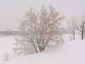 Ile de la visitation nature park in the snow. alog Prairies river Montreal