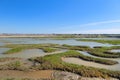 Ile de RÃÂ© salt lakes Royalty Free Stock Photo