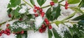 Ilex Aquifolium and snow Royalty Free Stock Photo