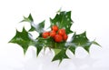 Ilex,holly, christmas decoration