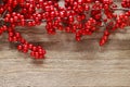 Ilex verticillata winterberry on wooden table Royalty Free Stock Photo