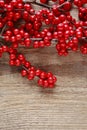 Ilex verticillata winterberry on wooden table Royalty Free Stock Photo