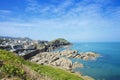 Ilfracombe on the North Devon coast, England Royalty Free Stock Photo