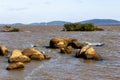 Ilha das Pedras Brancas Island and Guaiba lake Royalty Free Stock Photo