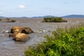 Ilha das Pedras Brancas Island and Guaiba lake Royalty Free Stock Photo