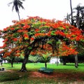 Ilha de PaquetÃÂ¡