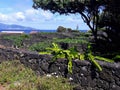 Ilha do Pico Acores