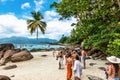 Ilha Grande, Brazil - Jan 27, 2024: Famous coconut tree on Aventureiro Beach at Ilha Grande, Angra dos Reis, Brazil